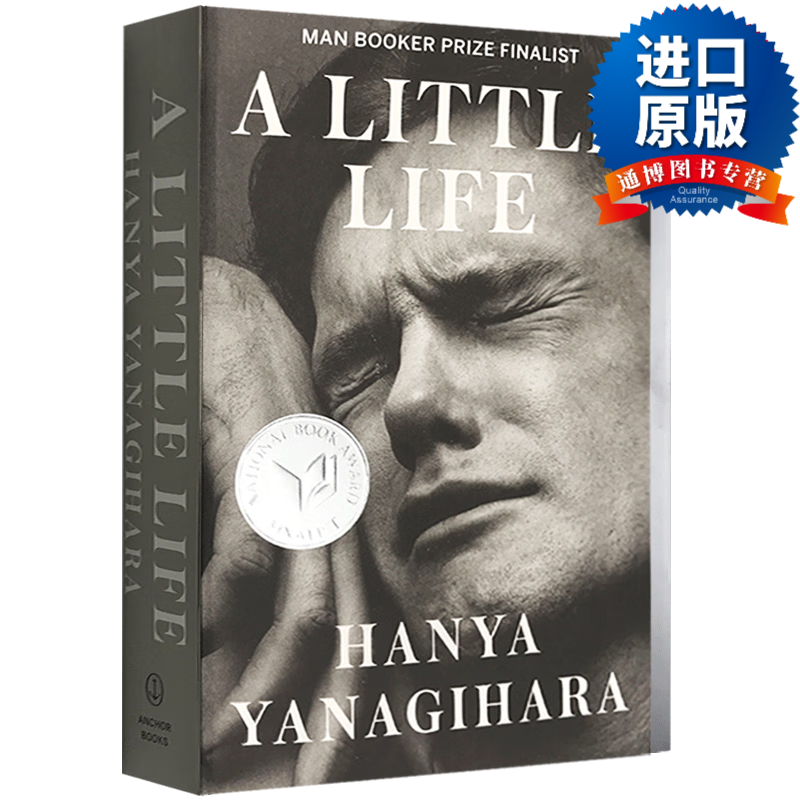 a little life 小生活 英文原版小说读物 hanya yanagihara 柳原汉雅