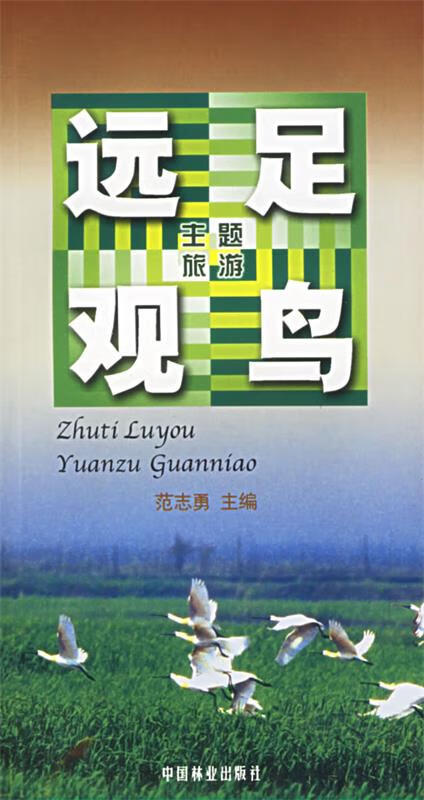 远足观鸟