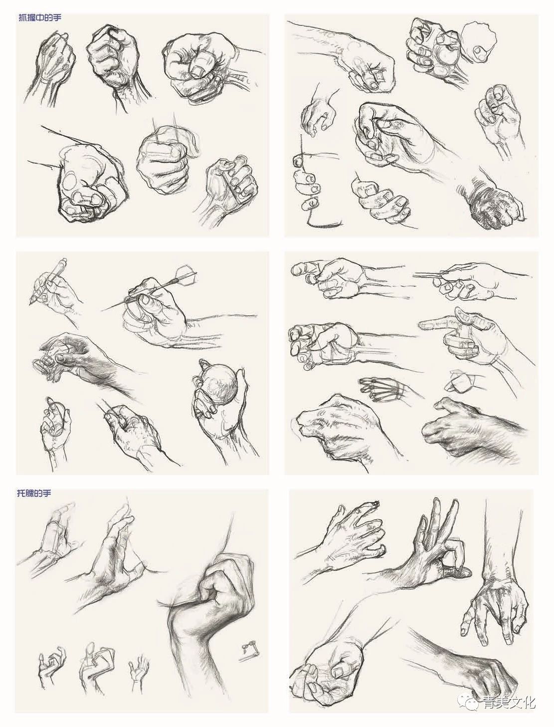 手的绘画2019青美文化画手部解剖从基础教学到大师手稿及作品手素描课