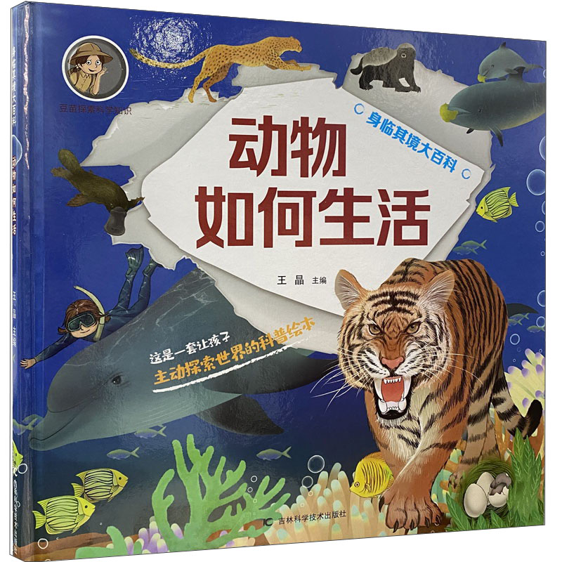 动物如何生活
