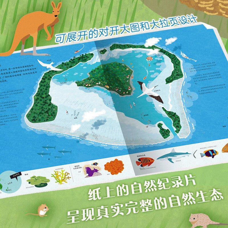 飞越地平线详情图