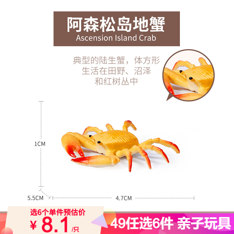 Wenno仿真动物玩具生日礼物认知海洋动物海底世界仿真模型塑胶玩具 阿森松岛地蟹