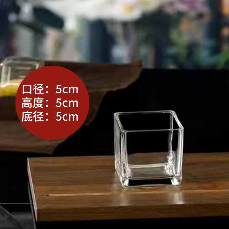 云舵簡(jiǎn)約水培玻璃花瓶透明方缸水養(yǎng)百合郁金香水仙白掌器皿客廳小花盆 5*5cm(加厚) 1個(gè)裝