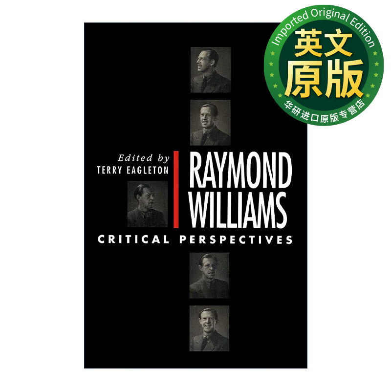 雷蒙威廉斯论文集 英文原版 raymond williams 批评视角 英文版
