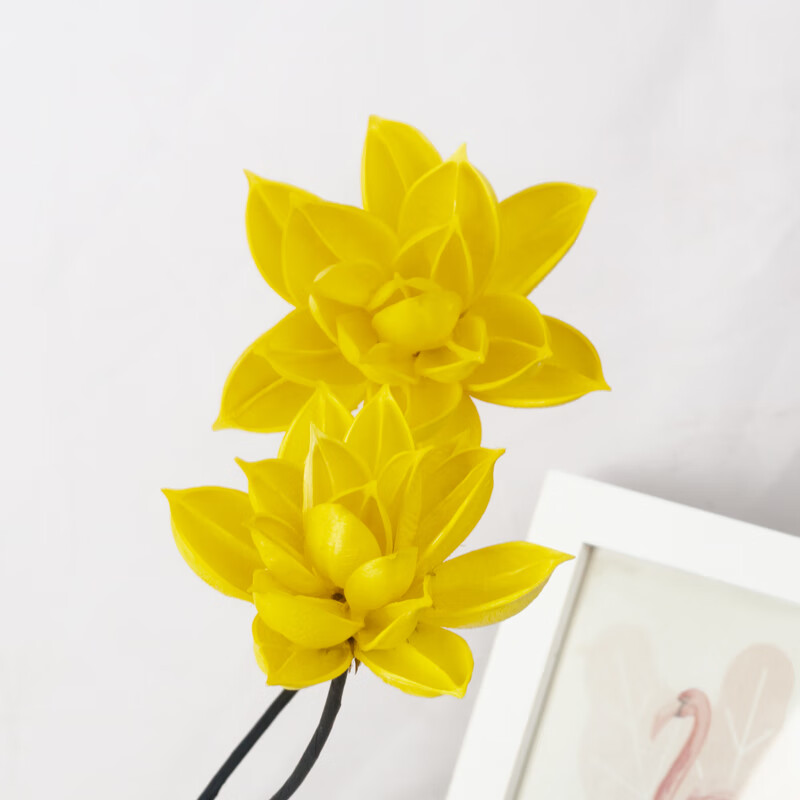 干花历史价格查询工具|干花价格走势