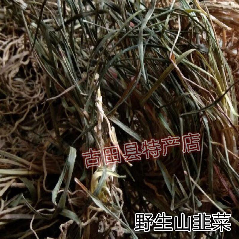 福建野生山韭菜 麦冬 沿阶草 野麦冬 野韭菜 干货 散瘀 祛风 50克
