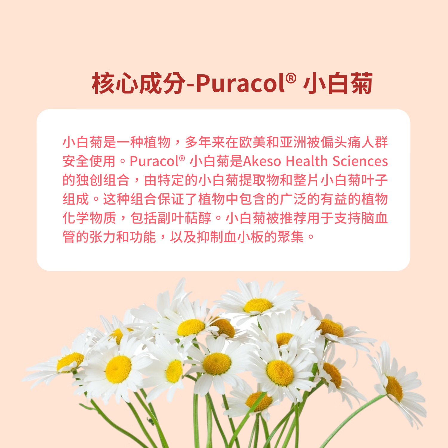 MigreLief迈立疏美国进口镁营养补剂小白菊维生素B2速效缓解偏头痛体验装