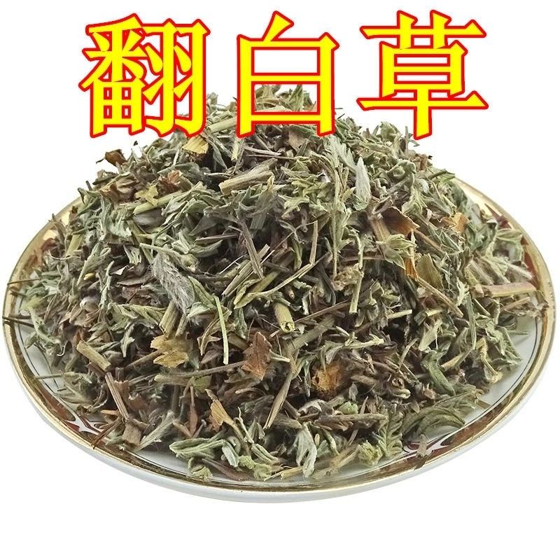 中药材翻白草50500g翻白草茶番白草中草药 翻白草500克