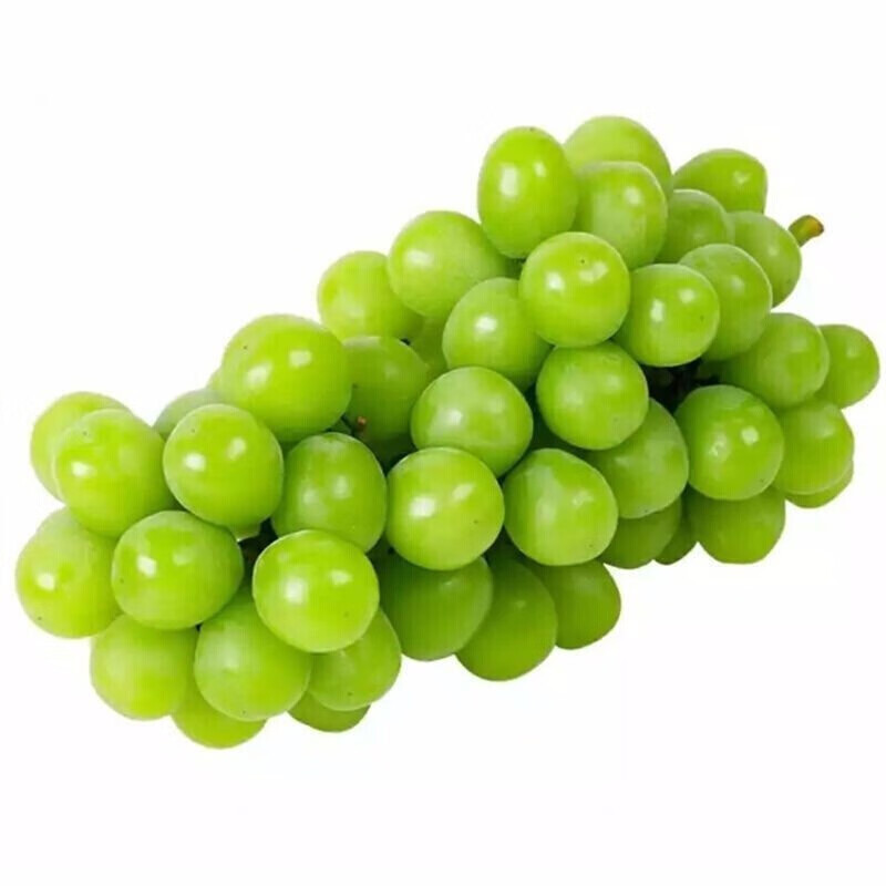 源外阳光玫瑰 香印无籽葡萄青提 日本引进晴王品种3-5斤装当季水果 3