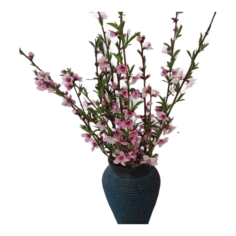 ������֦����ˮ����Ԣ�����ü�����ֲ�廨ƿ����ڼ� ���� ��ˮ���� [ˮ��2���·�ѿ]20֧  