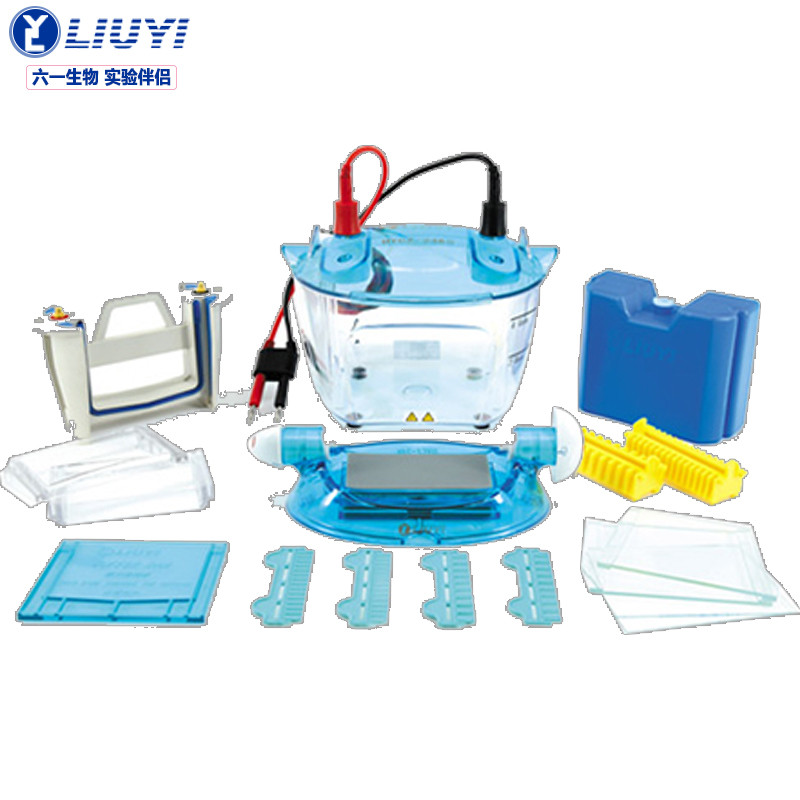 六一双板垂直电泳仪dycz-24ks标准版实验室电泳槽dna蛋白质原位制胶