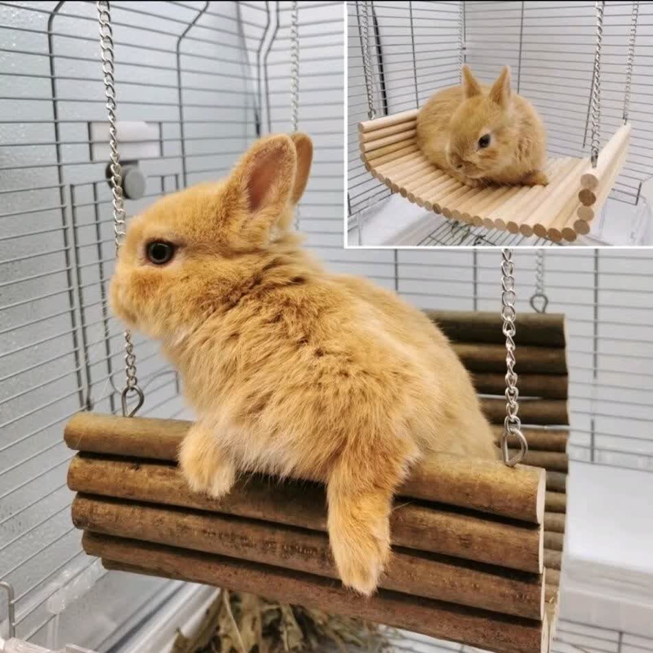 调皮窝兔子实木秋千磨牙树枝啃咬玩具 豚鼠荷兰猪龙猫悬挂吊床兔兔