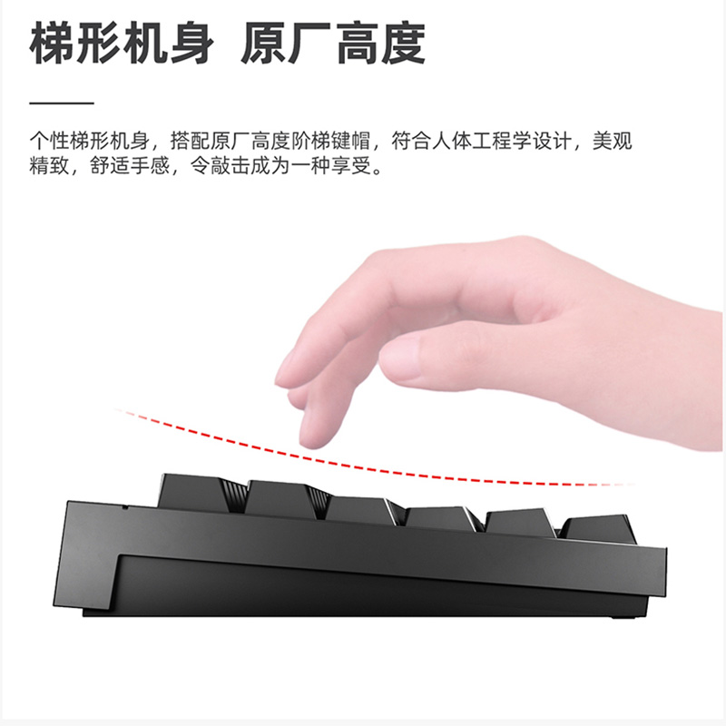 樱桃（Cherry）MX2.0S G80-3820LSAEU-2 机械键盘 有线键盘 游戏键盘 全尺寸机械键盘 黑色 青轴