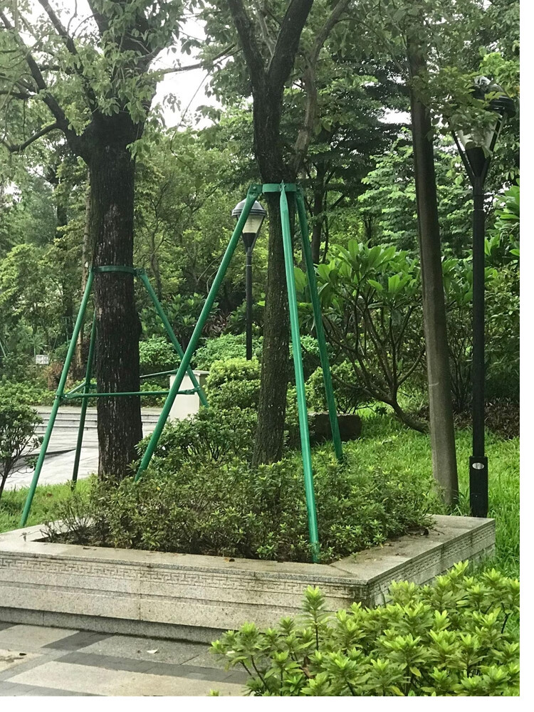 镀锌钢管树木支撑架园艺固定器园林防风大树支撑杆绿化木支架树撑