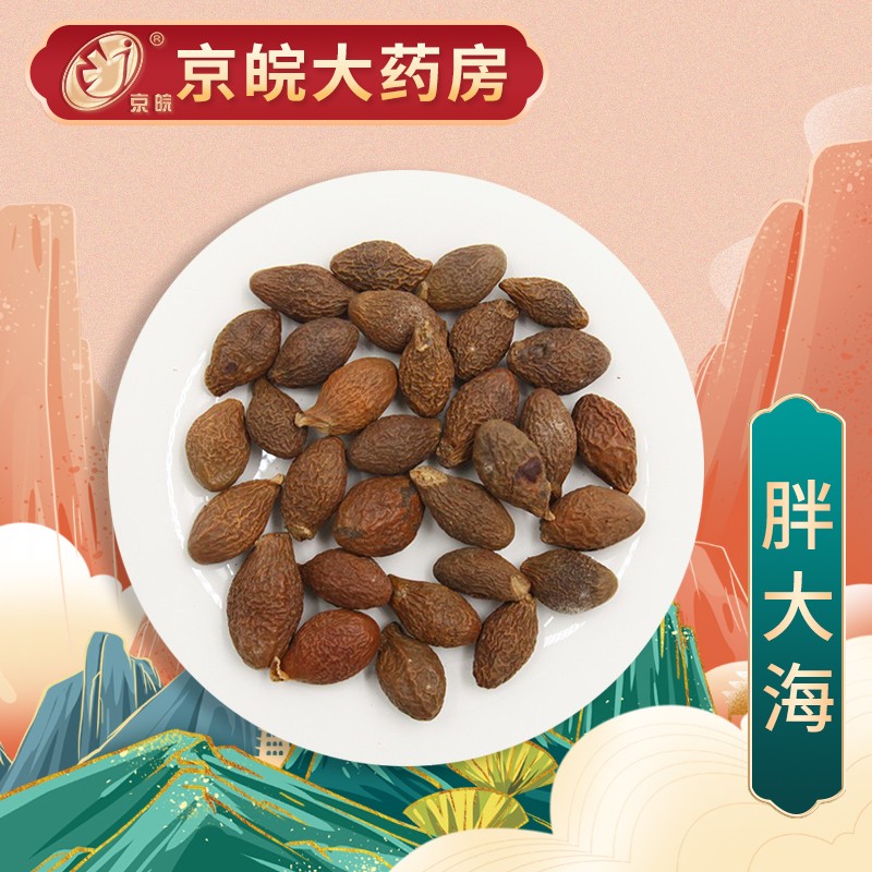 京皖 胖大海 中药饮片 按方抓药 100g