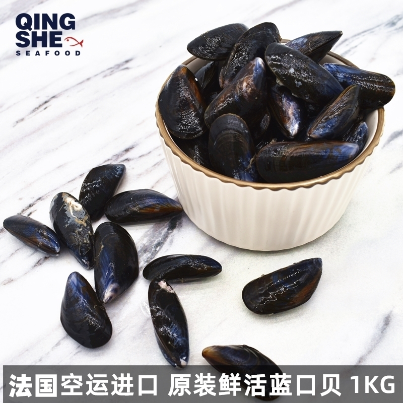 法国空运进口鲜活青蓝口贝blue mussel蓝贻贝1000g【每周四到货】