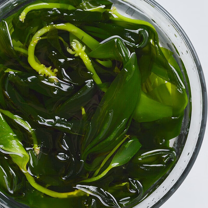 荣成海带国家地理标识 盐渍海带嫩苗无需泡发即食非干货凉拌煲汤火锅食材 10盒装 2000g