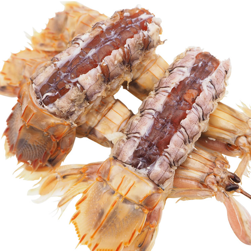 味巴哥全母全膏皮皮虾鲜活全带籽虾爬子濑尿虾海鲜水产椒盐虾婆即食