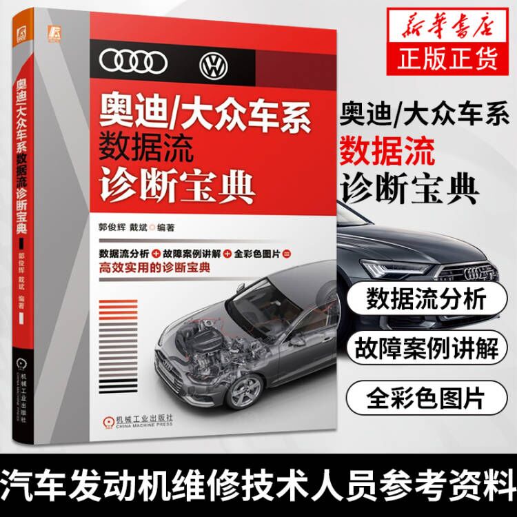 奥迪/大众车系数据流诊断宝典 汽车故障诊断与维修案例 汽车发动机维修技术资料