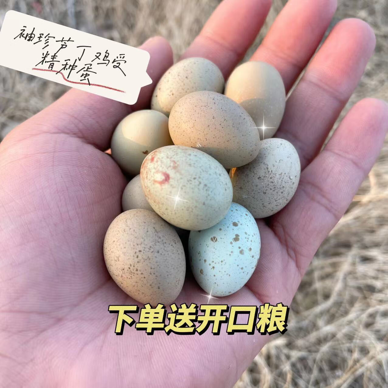【芦丁鸡种蛋】可孵化小鸡的受精蛋芦丁蛋做实验小鸡蛋 白色20 4枚备