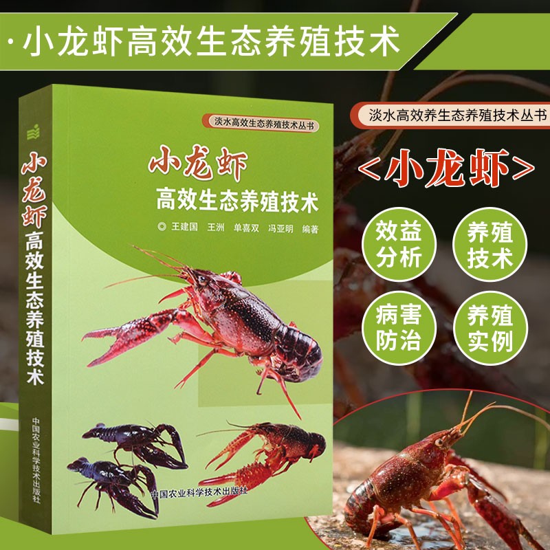 小龙虾高效生态养殖技术 养虾技术书籍淡水虾水产养殖技术 小龙虾疾病