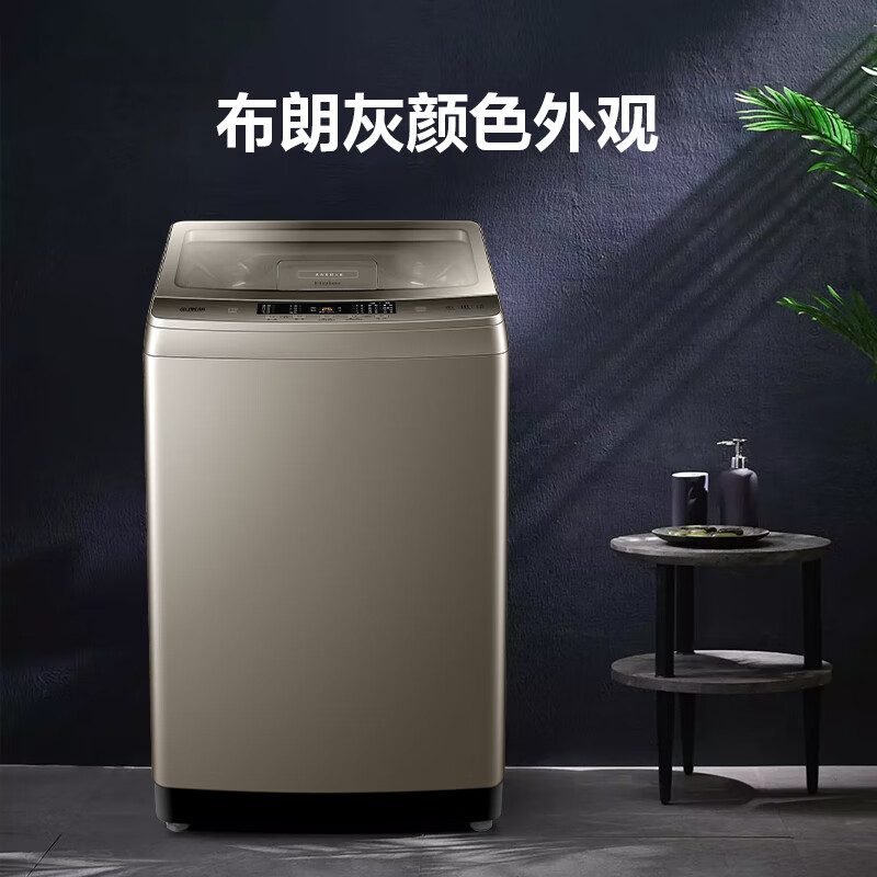 海尔（Haier）波轮洗衣机全自动 自过滤 自动清理线屑 10KG直驱变频EB100B25Plus2U1