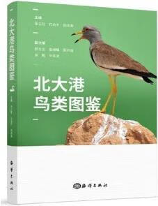 北大港鸟类图鉴 张正旺,石会平,尚成海主编 海洋出版社