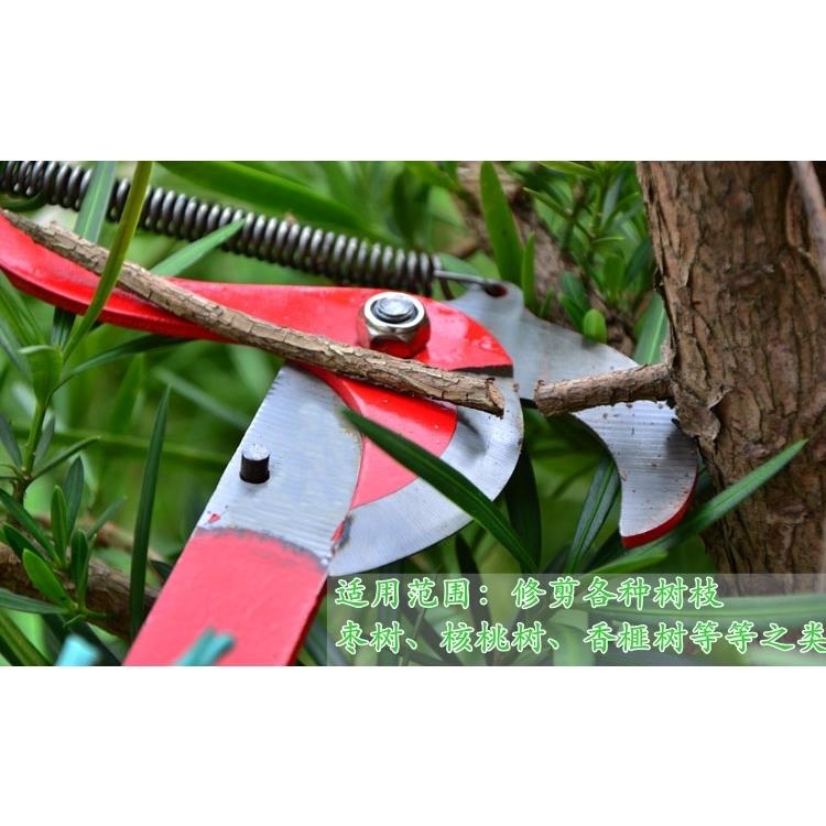 喜普2022新款伸缩高枝剪带绳子摘果器高空剪刀头树枝剪刀高空修枝剪刀