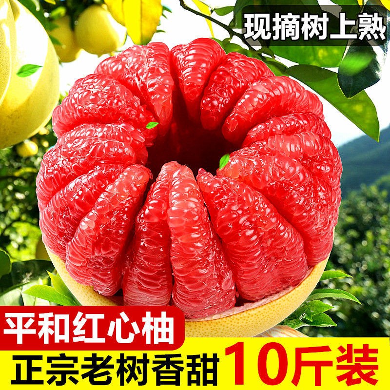 思卓红心柚子整箱9-10斤红肉蜜柚水果中秋礼盒团购三红时令净重8-9斤怎么样,好用不?