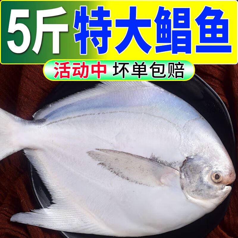 恺蒂鲜青岛银鲳鱼鲜活冷冻白鲳鱼武昌鱼新鲜平鱼镜鱼深海鱼海鲜水产
