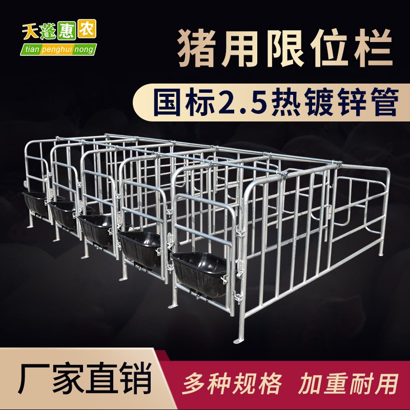 天蓬惠农 母猪定位栏国标热镀锌母猪限位栏猪用围栏母猪产床养猪设备