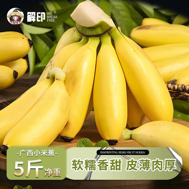 解印源鲜旺福建天宝蕉 高山甜蕉大香蕉小米蕉粉糖香蕉现砍青色 5斤 小米蕉