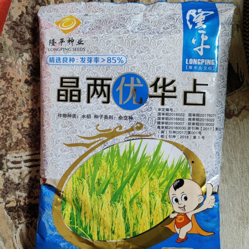 新种晶两优华占隆平杂交稻水稻种子高产杂交水稻种子香米水稻种 原装