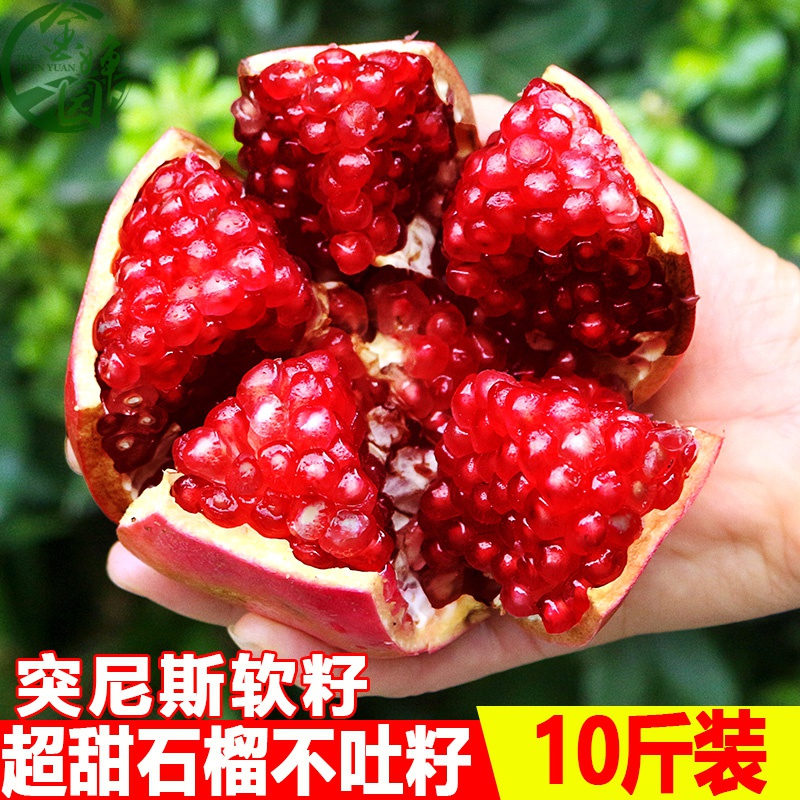 四川会理突尼斯软籽石榴新鲜水果10斤水晶甜石榴整箱应季无籽 5斤