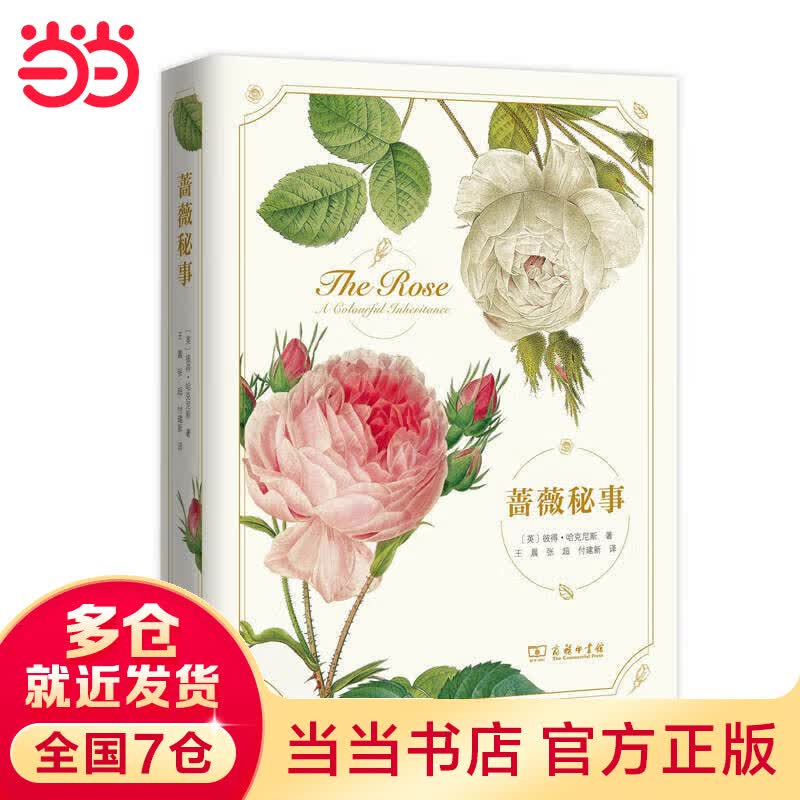 蔷薇秘事