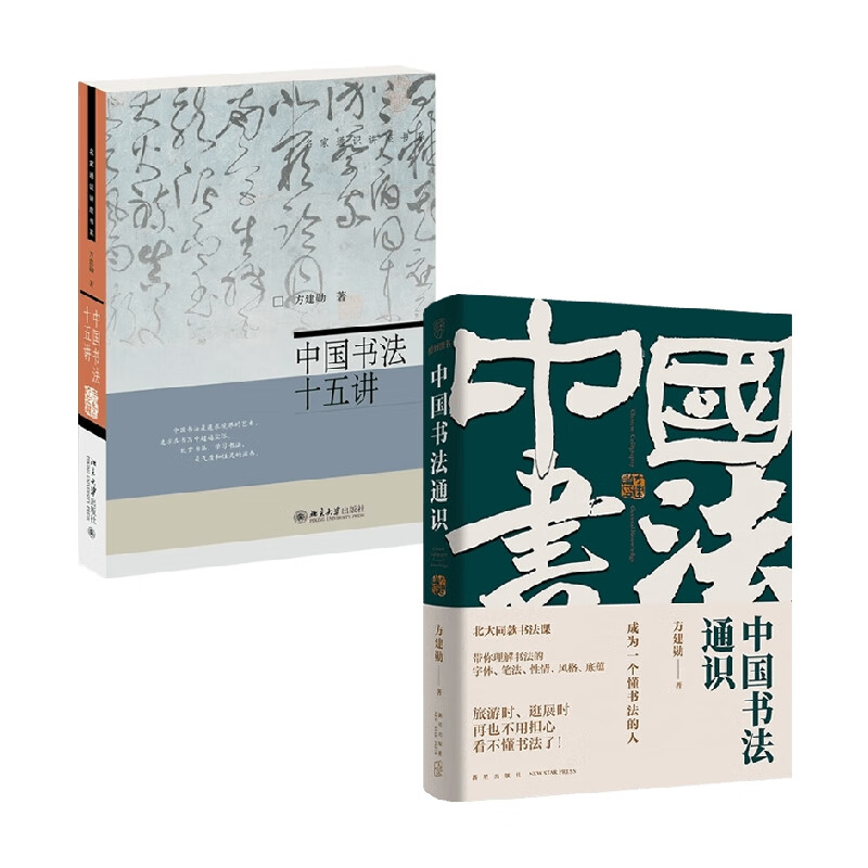 中国书法通识课 中国书法十五讲 方建勋 著 书法技法 中信书店