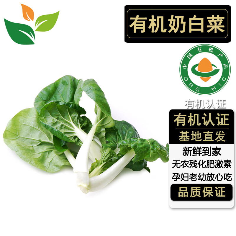 有机奶白菜 3斤五斤装 新鲜自然有机蔬菜无农残食材汇宝宝放心吃 3斤