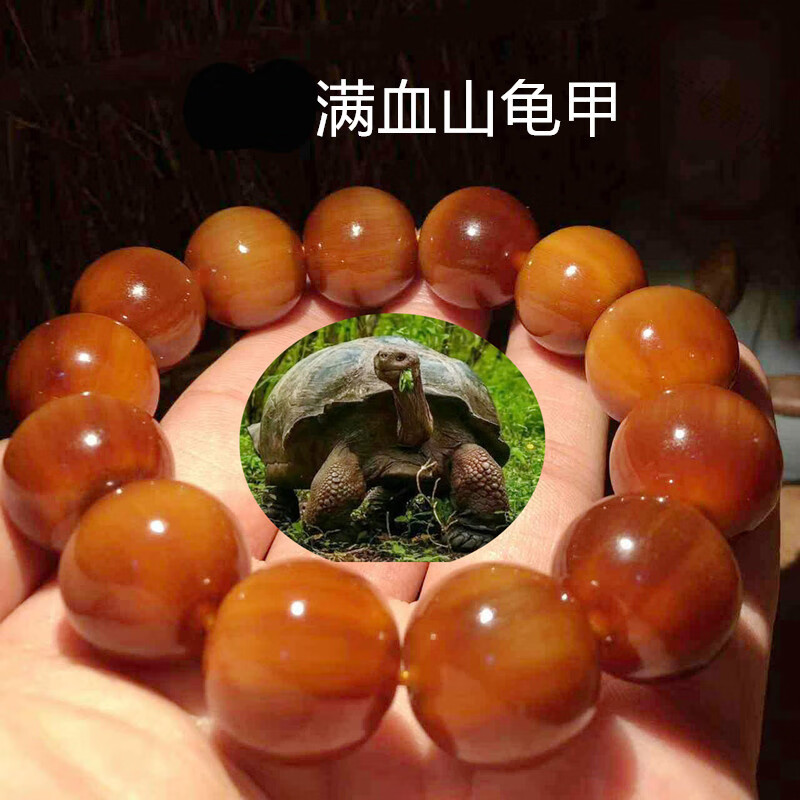 snqp黄金甲手串生满血山龟甲手串山龟壳酒红色手链男款黄金甲养身文玩