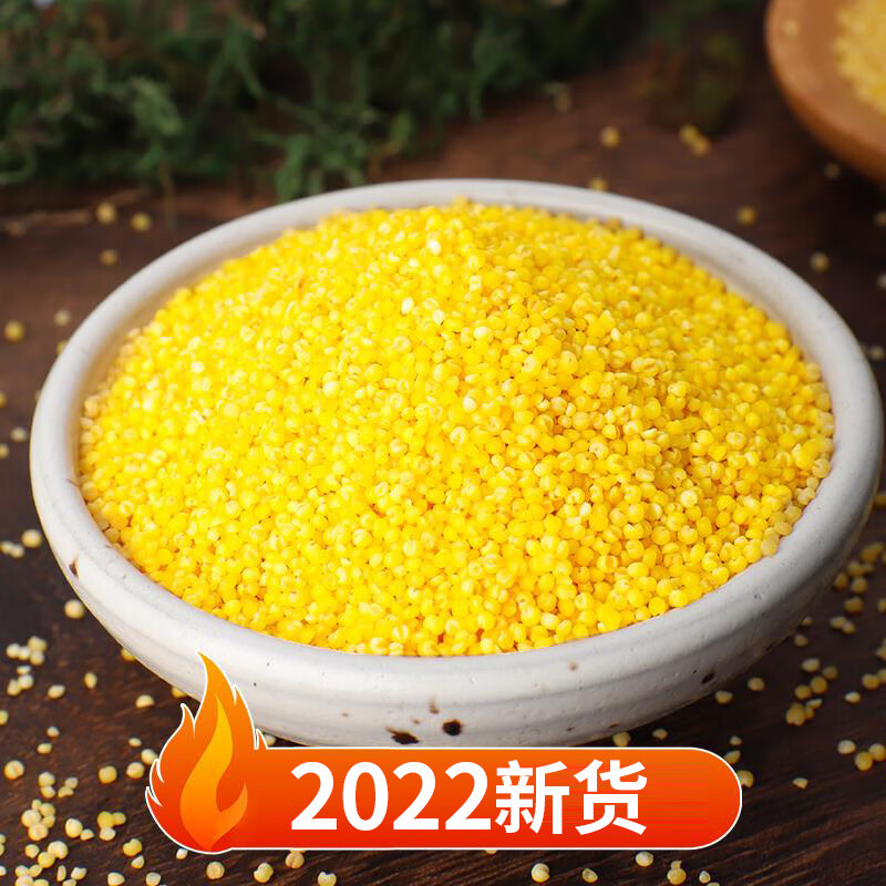 东北黄小米五谷杂粮吃的小黄米黑龙江粮食糯小米特产2022新米 黄小米