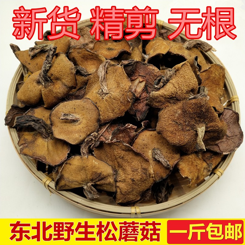 东北松蘑菇粘团子松树娥新鲜黄松磨菇食用菌干货500g【优选】 图片色