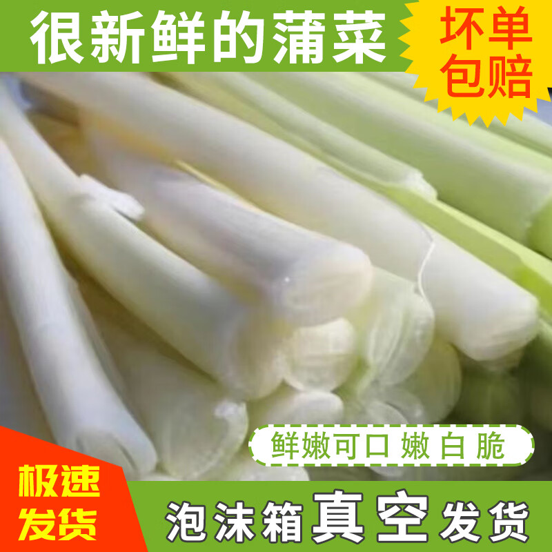 蒲菜新鲜野茭白淮安蒲笋茭儿菜蔬菜当季野菜蒲儿菜苏北农家现摘菜 250