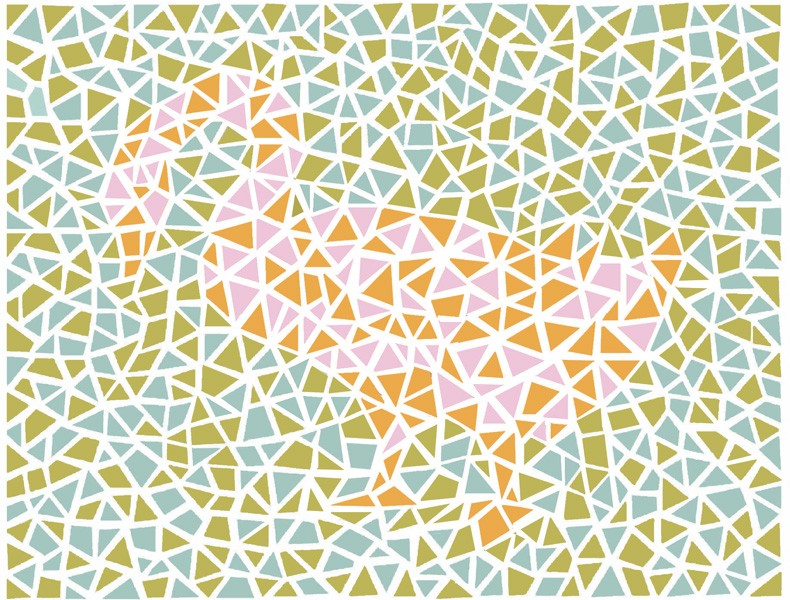 驾照测试书测色弱图谱儿童的书第五版辨色卡红绿色盲测试图卡眼镜检测