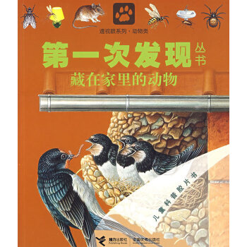 藏在家里的动物-次发现丛书【正版图书】