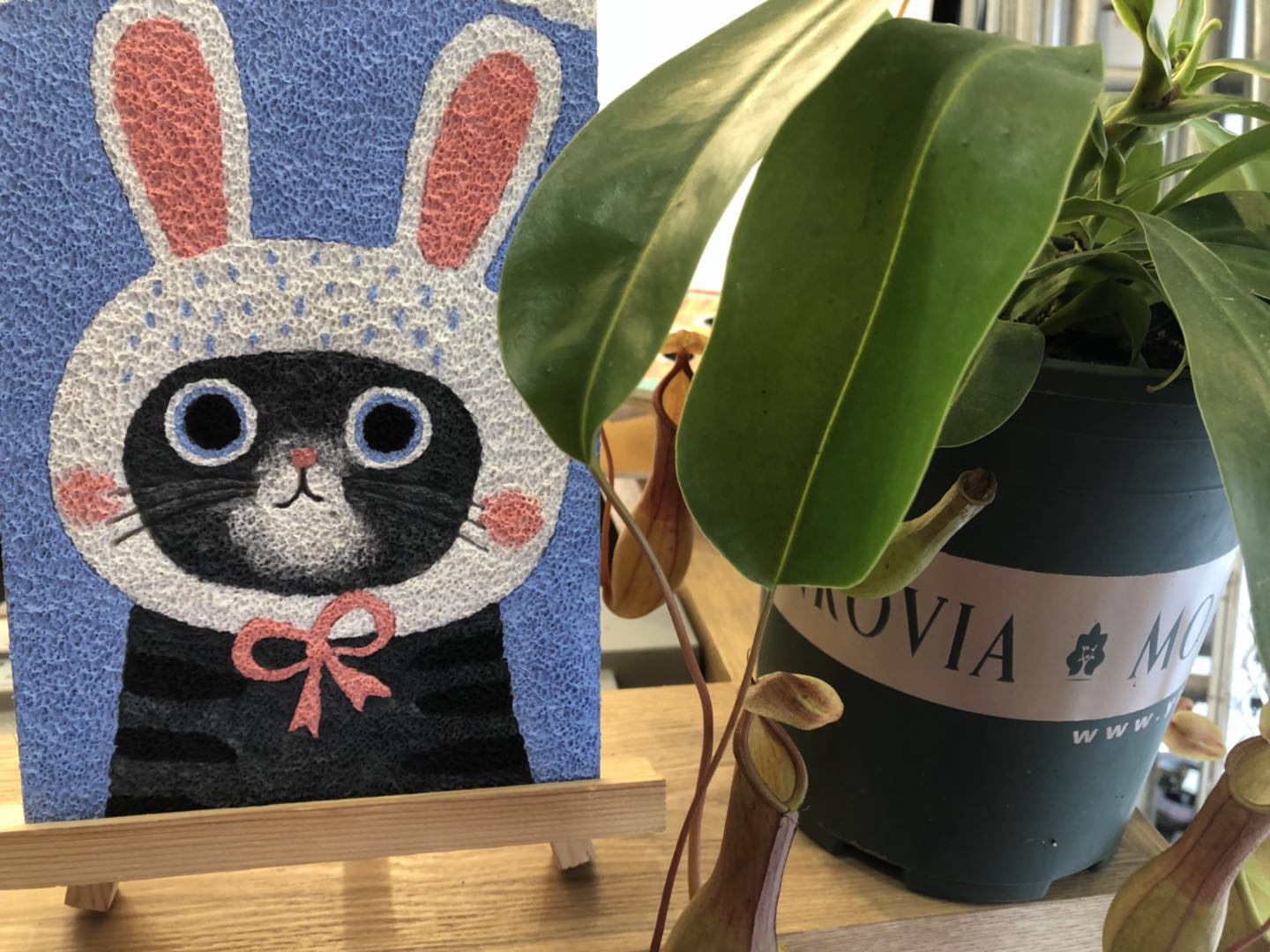 卡通动物纸浆画材料包打发时间手工diy9只猫咪立体创意礼物 爆款带