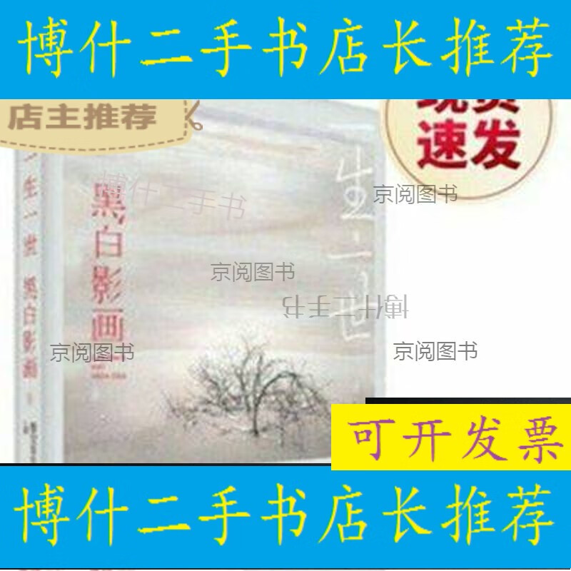 二手书-【二手9成新】-一生一世 黑白影画 墨宝非宝著 江苏凤凰文艺