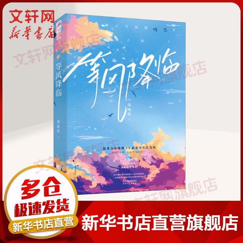 等风降临 图书