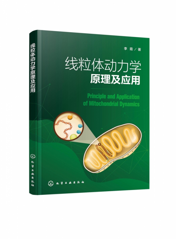 线粒体动力学原理及应用