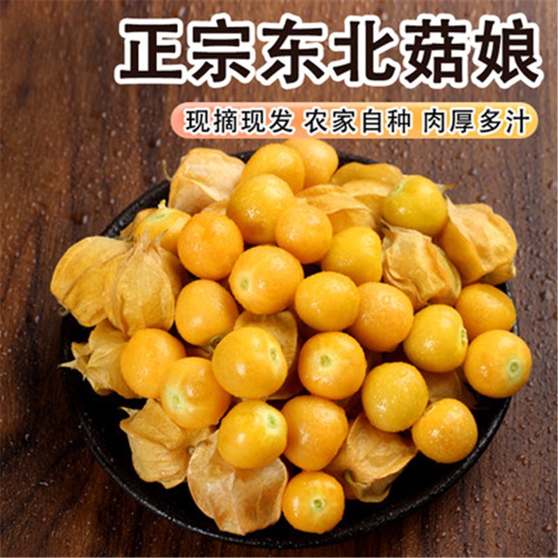 姑娘 相关京东优惠商品 6 价格图片品牌优惠券 虎窝购 姑娘 相关京东优惠商品 6 价格图片品牌优惠券 虎窝购