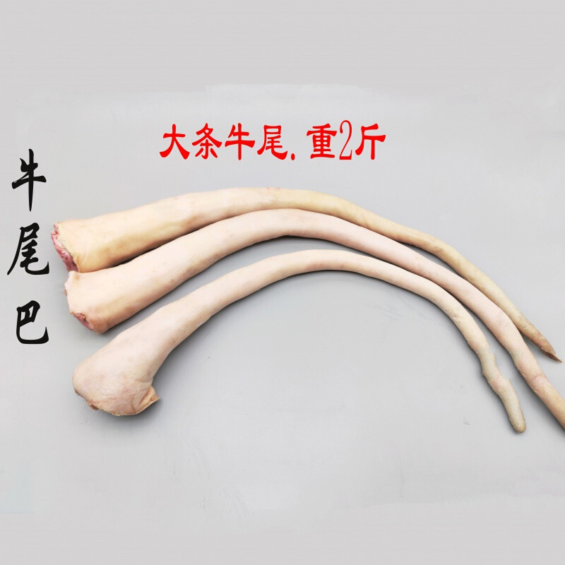 伯贤 新鲜整根牛尾骨现杀整条牛尾巴去毛带皮炖汤国产黄牛尾2斤装