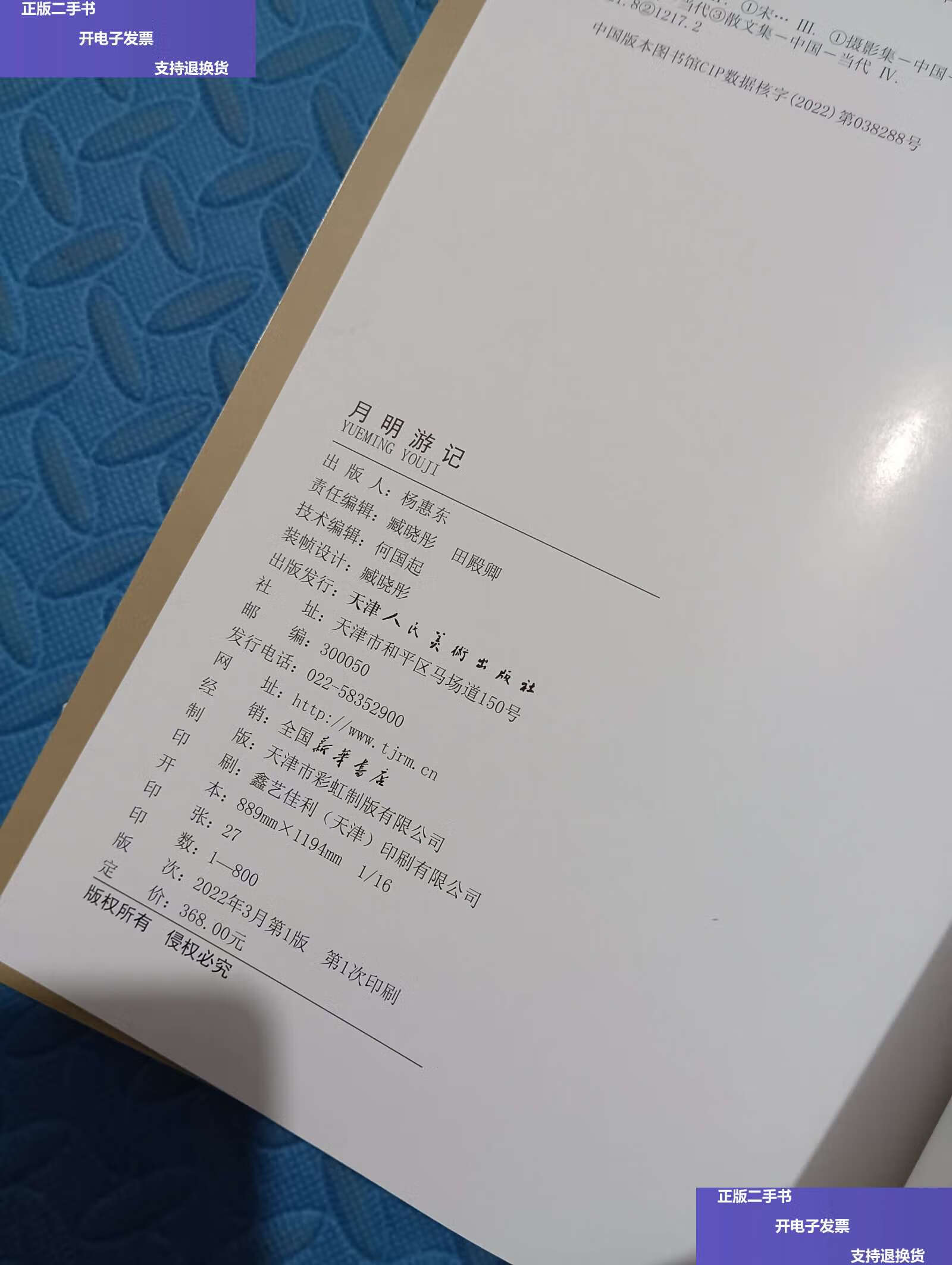 【二手9成新】月明游记 /宋悦明 天津人民美术